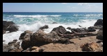 Melani Beach -19-06-2022 - Bogdan Balaban